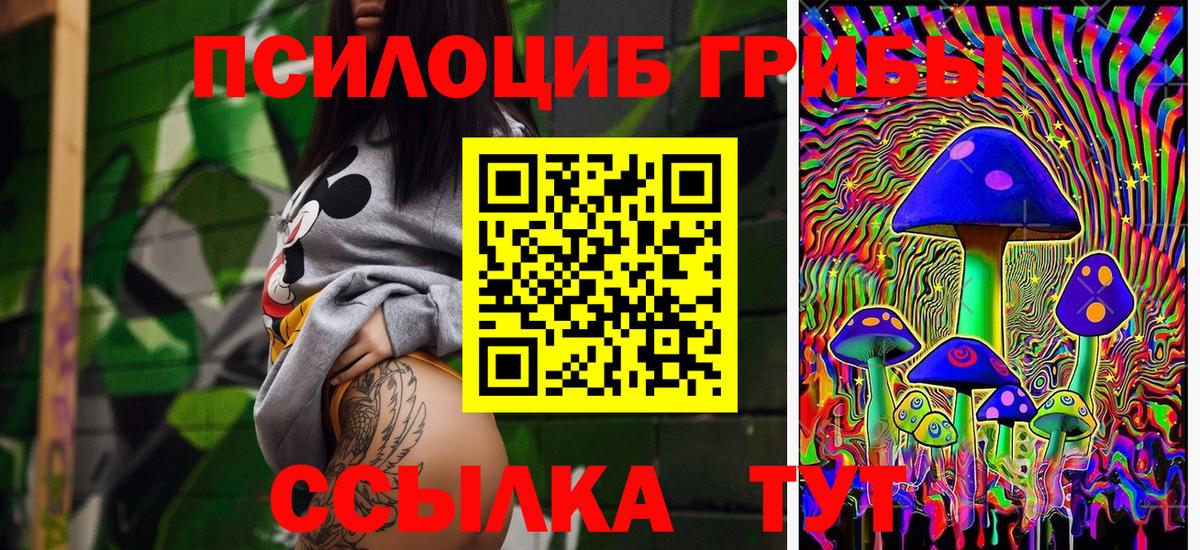 Краснодар  Галлюциногенные грибы прущие грибы  Вход с VPN 
