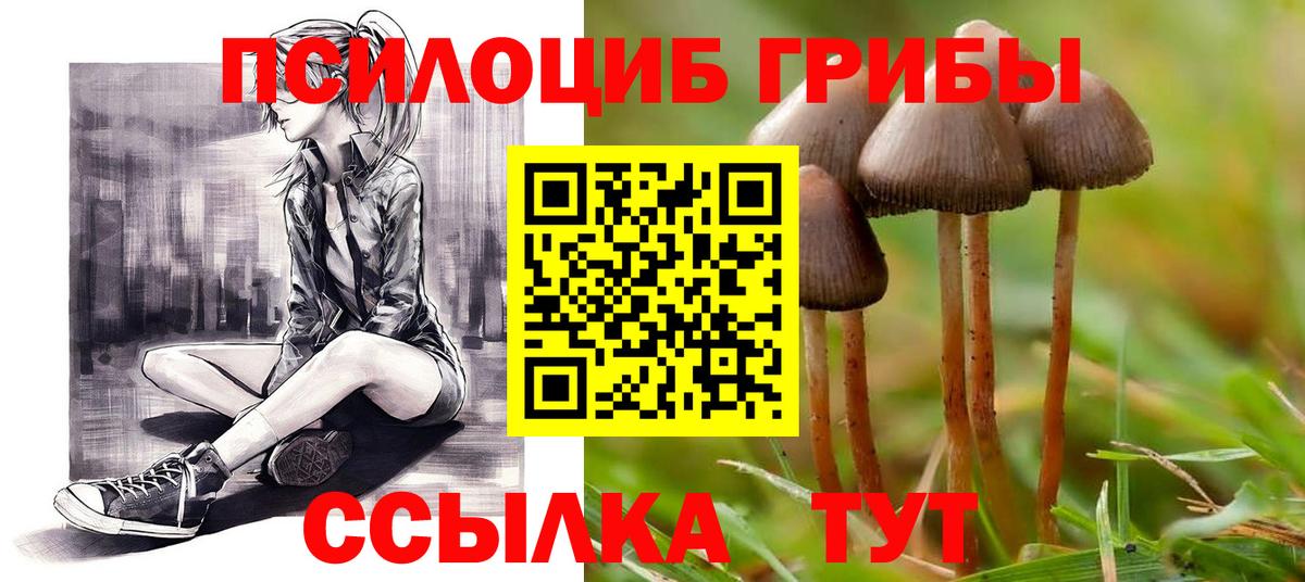 Псилоцибиновые грибы Psilocybine cubensis Краснодар